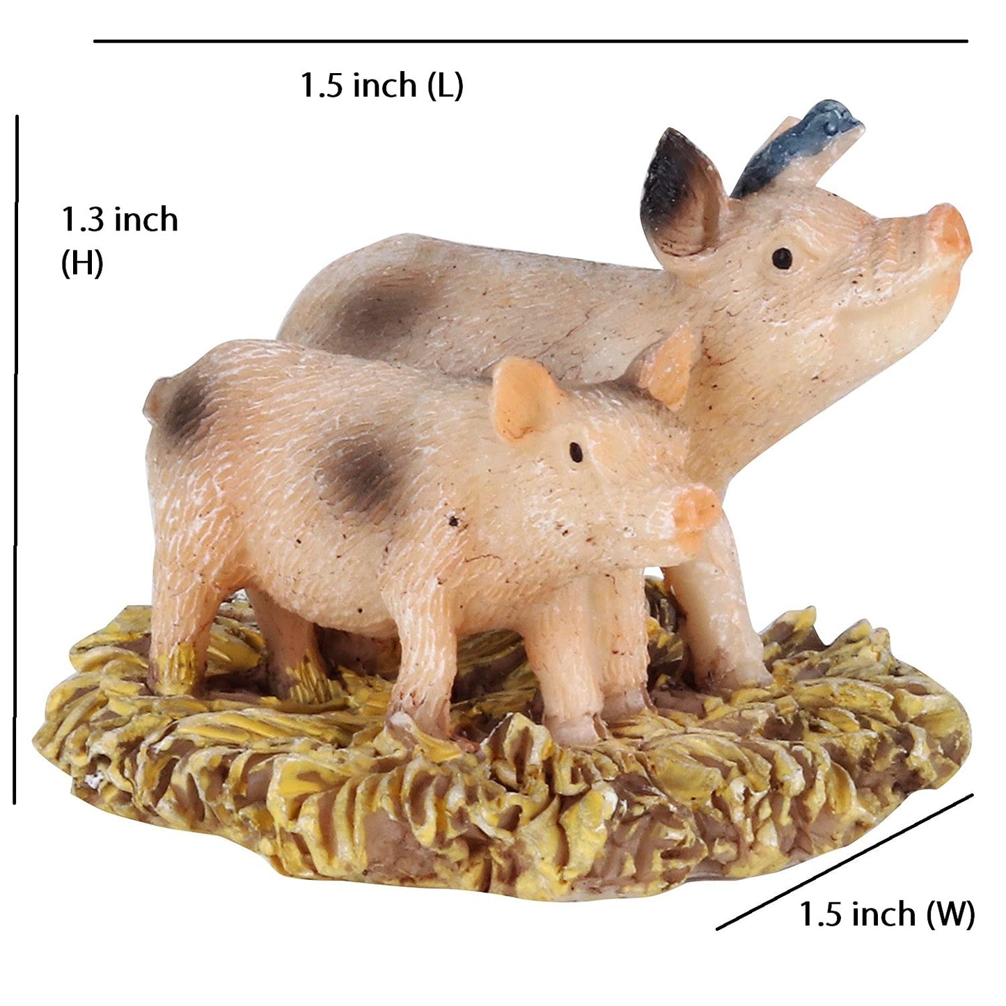 Pig