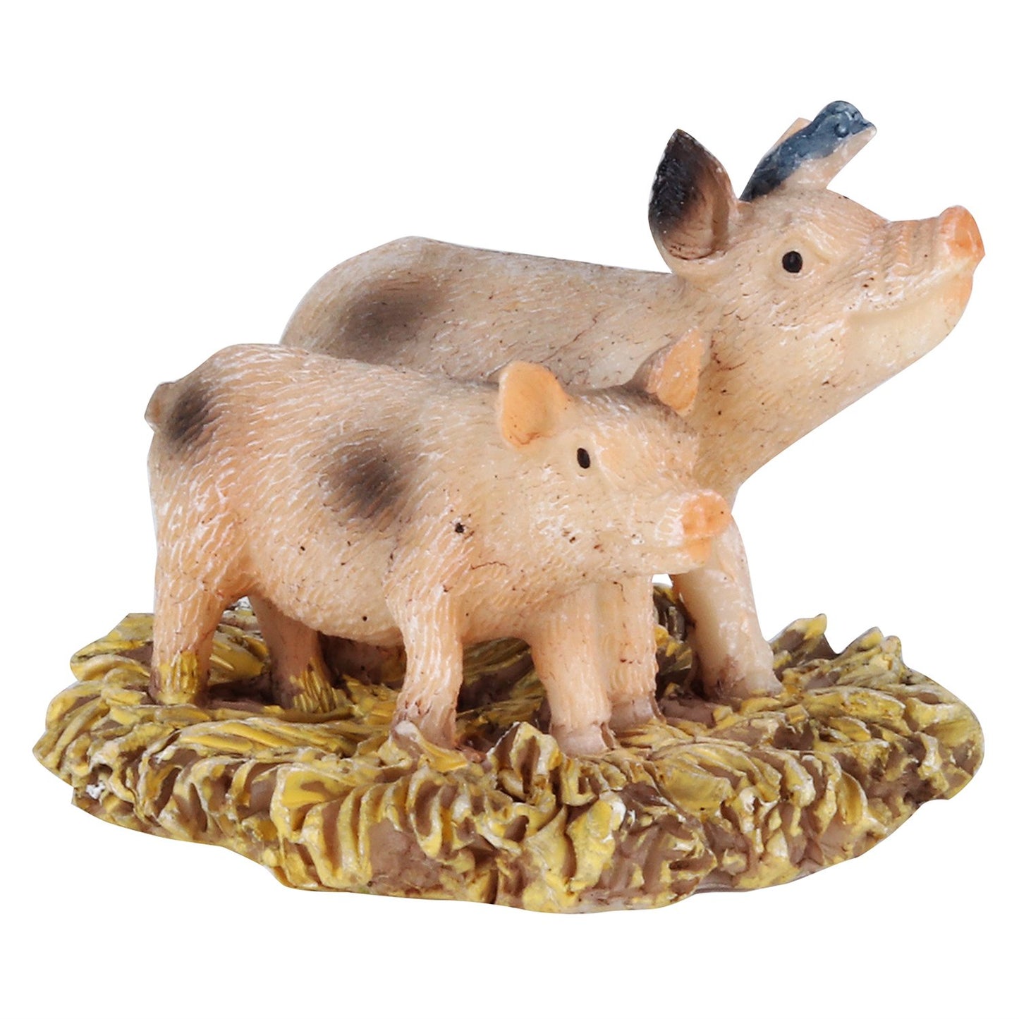 Pig