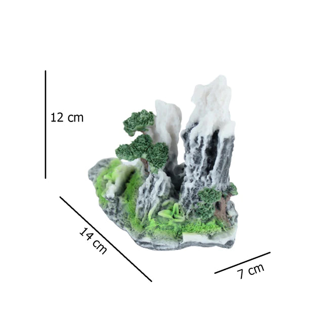 Snow Mountain