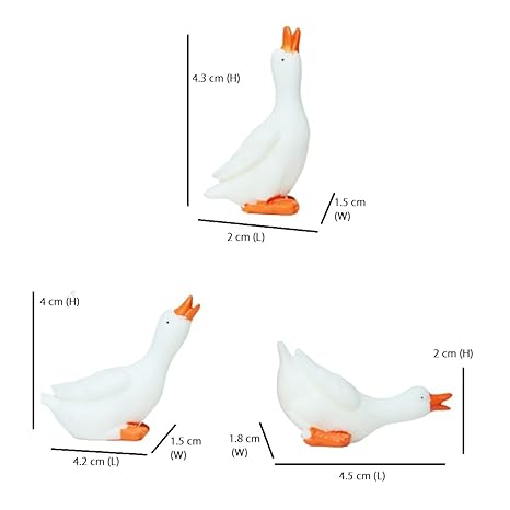 White Duck