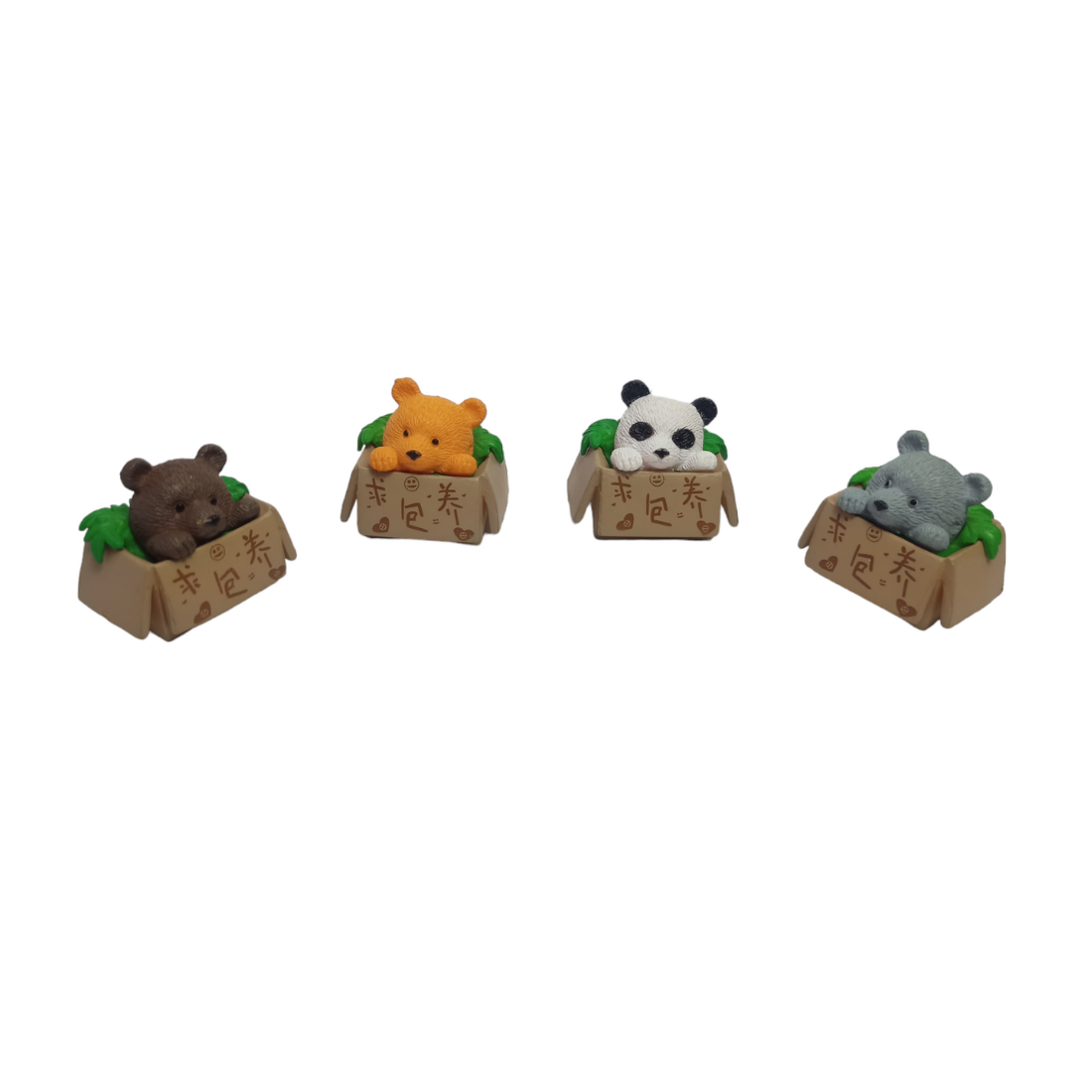 Box Teddy Bear (Any 1)