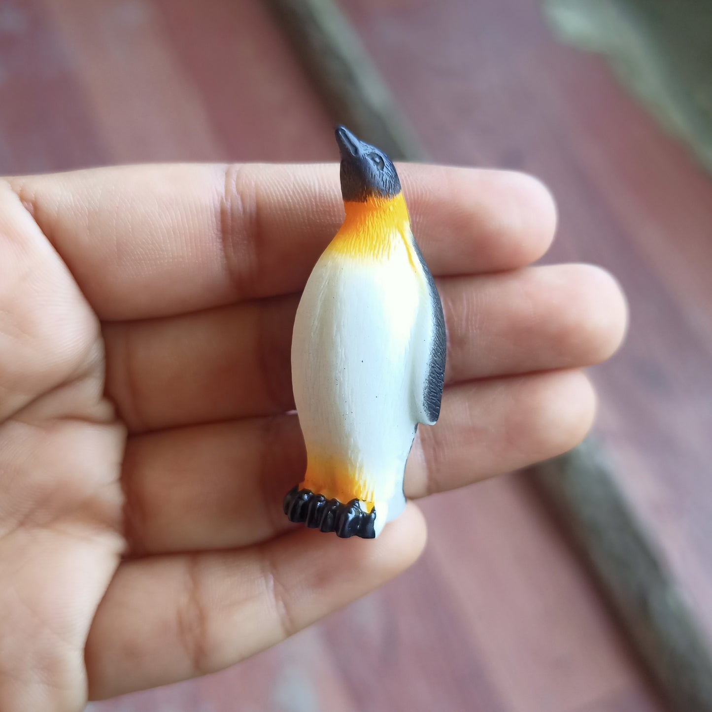 Penguin