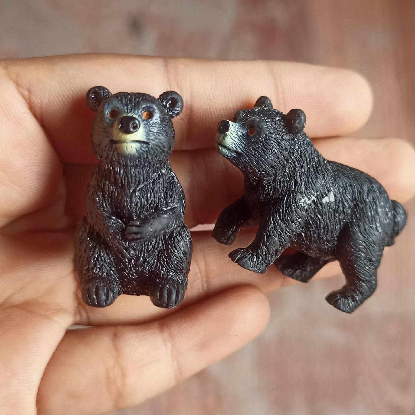 Black Bear