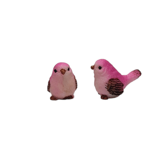 Birds