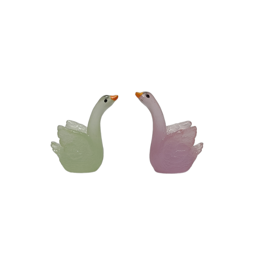Colour Duck (2 Pc)