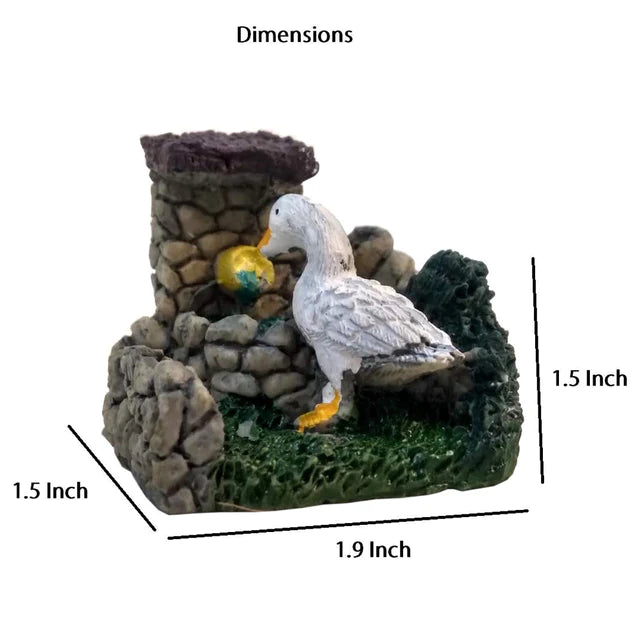 Duck Pond