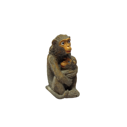Monkey with Kid