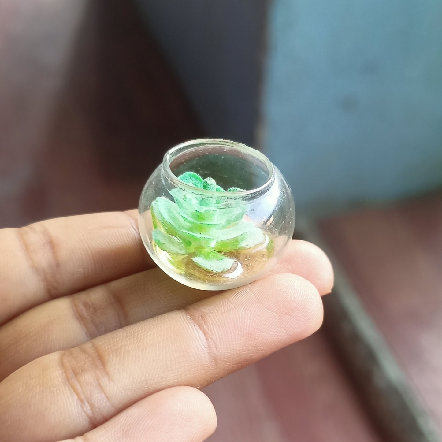 Plant Bowl