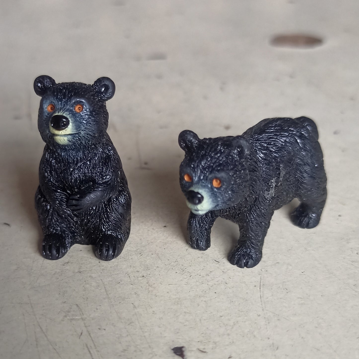 Black Bear