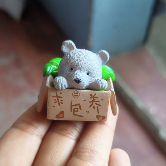 Box Teddy Bear (Any 1)