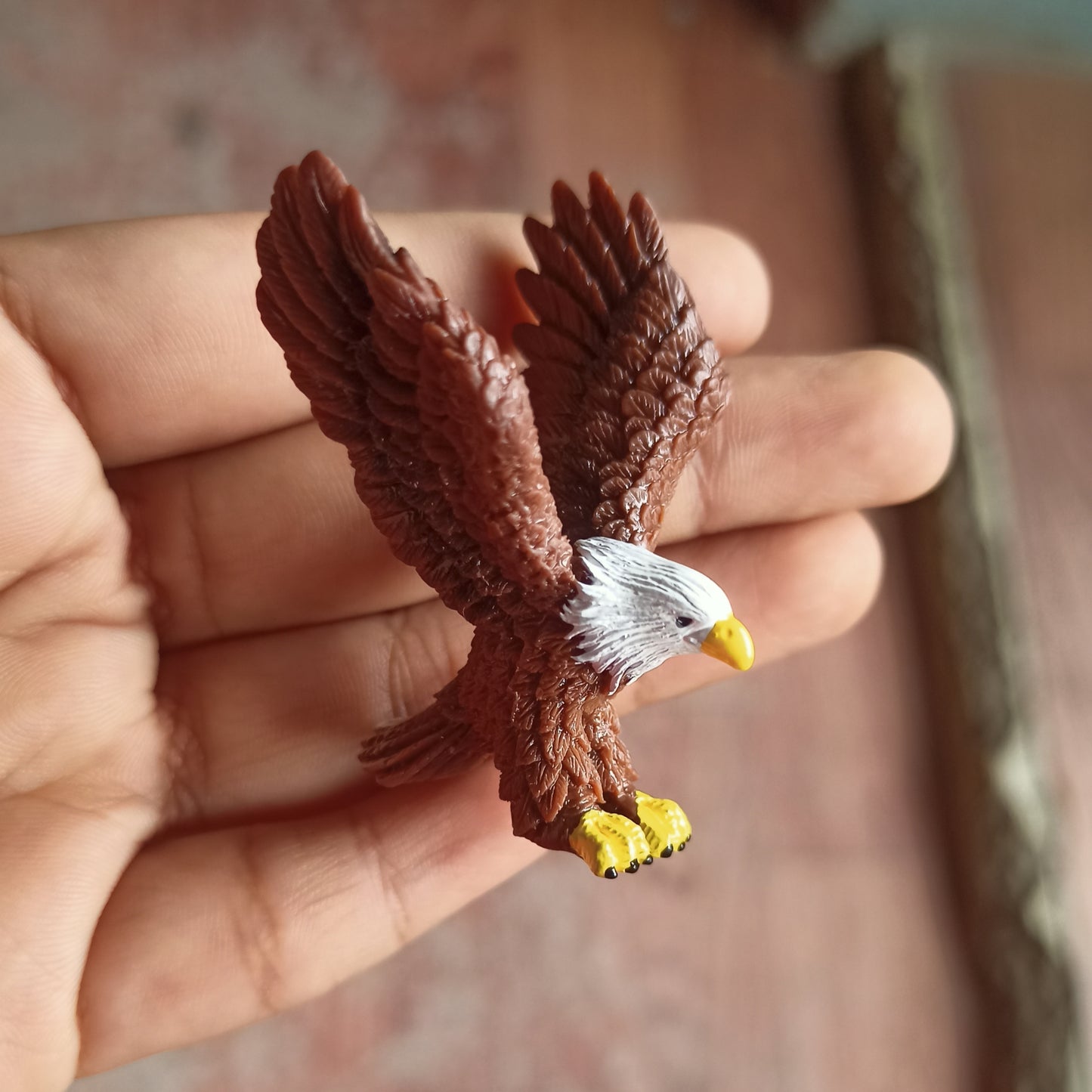 Eagle