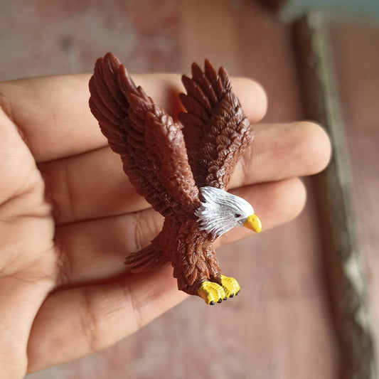 Eagle (Any 1)