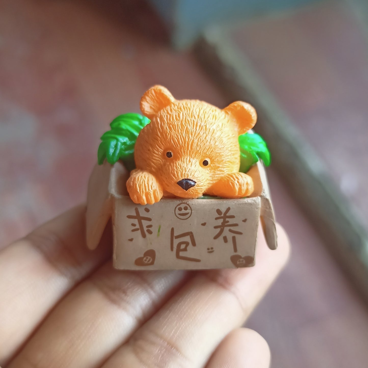Box Teddy Bear (Any 1)