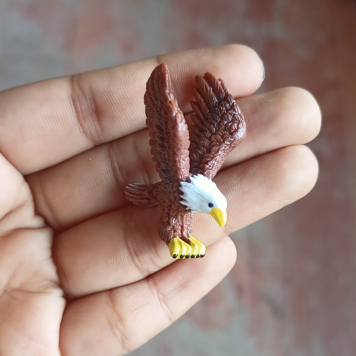Eagle (Any 1)