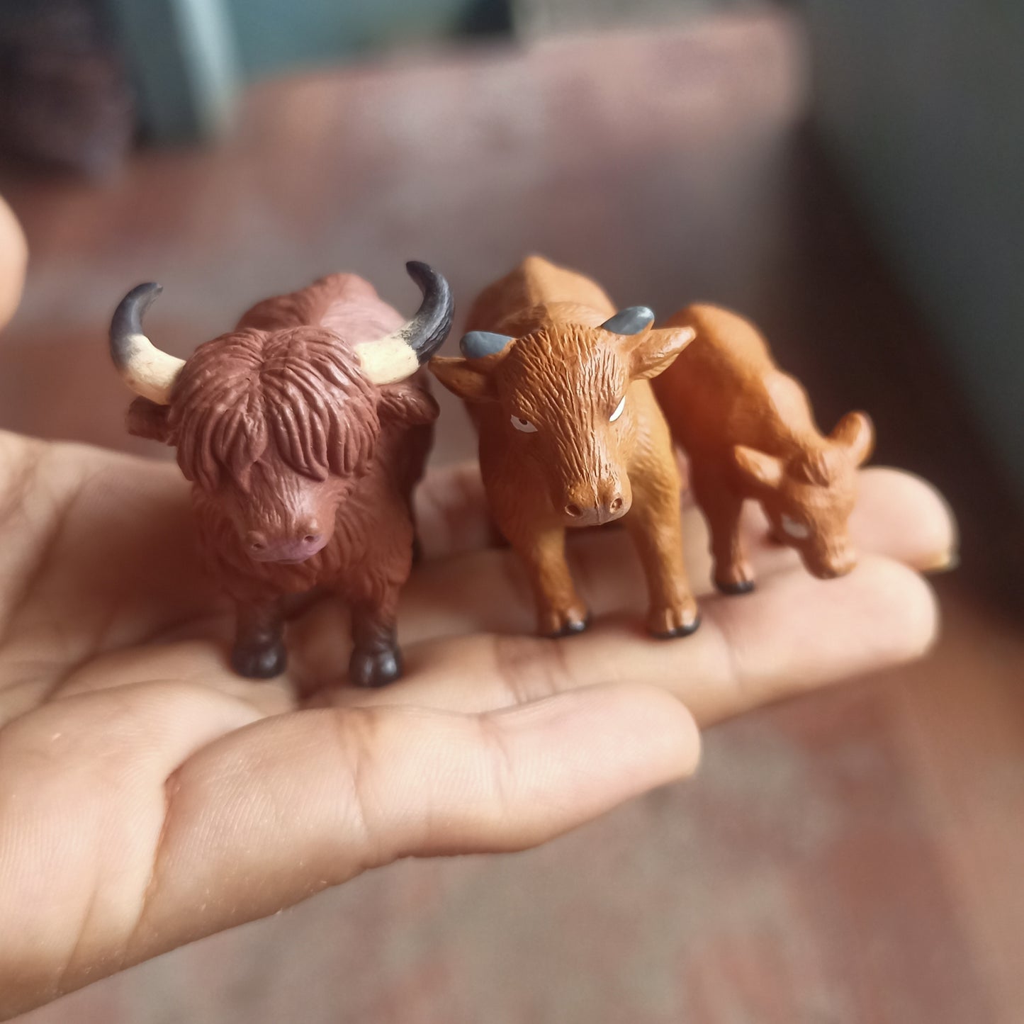 Bull family