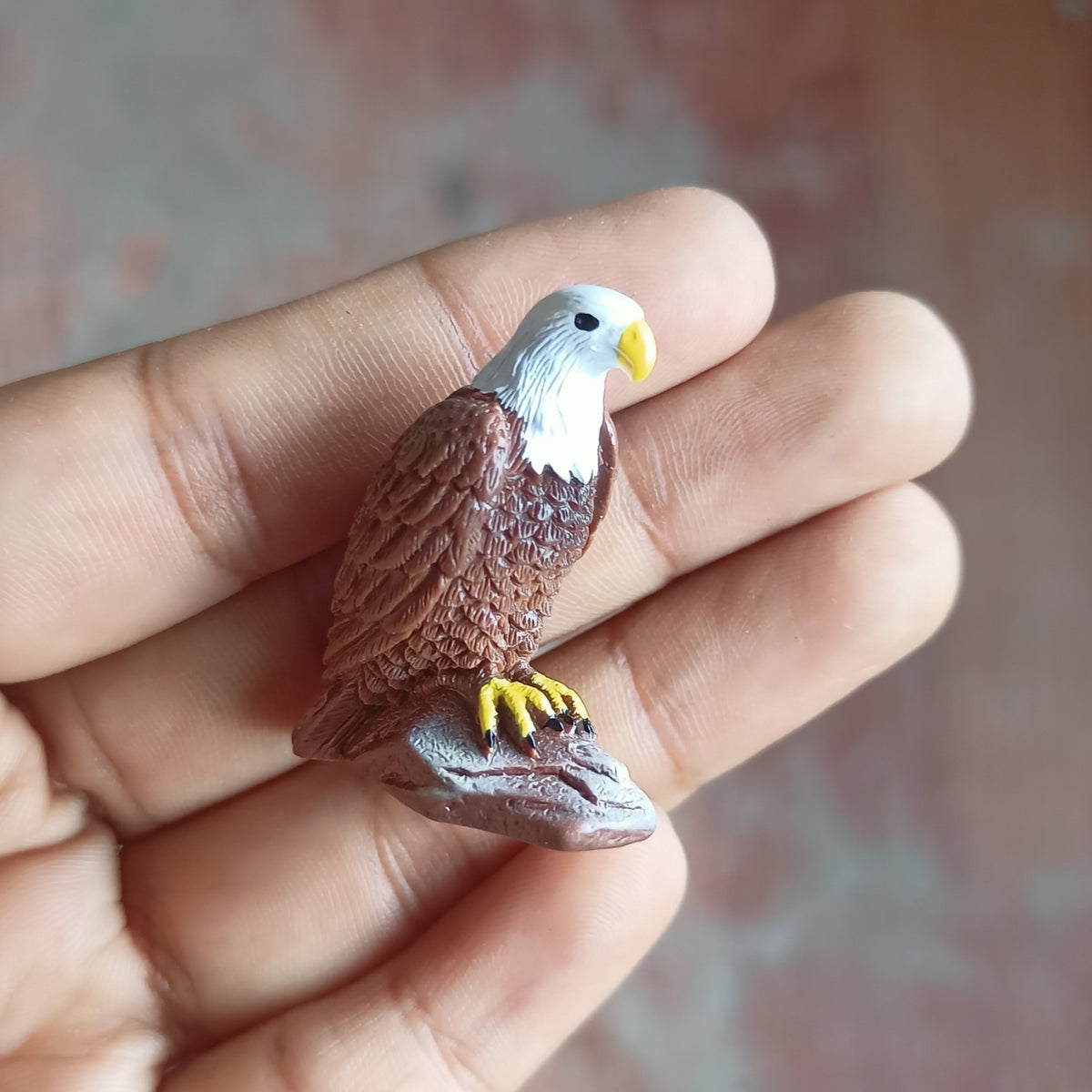 Eagle (Any 1)