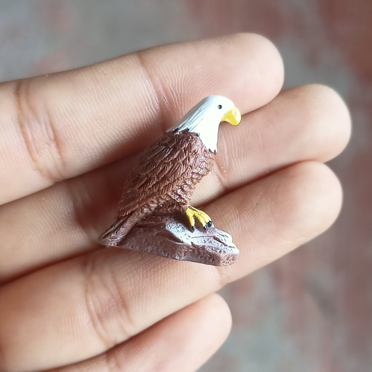 Eagle (Any 1)